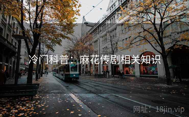 冷门科普：麻花传剧相关知识  第2张