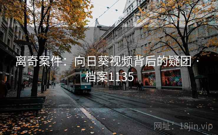 离奇案件：向日葵视频背后的疑团 · 档案1135  第2张
