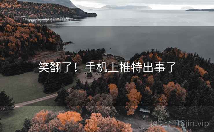 笑翻了！手机上推特出事了