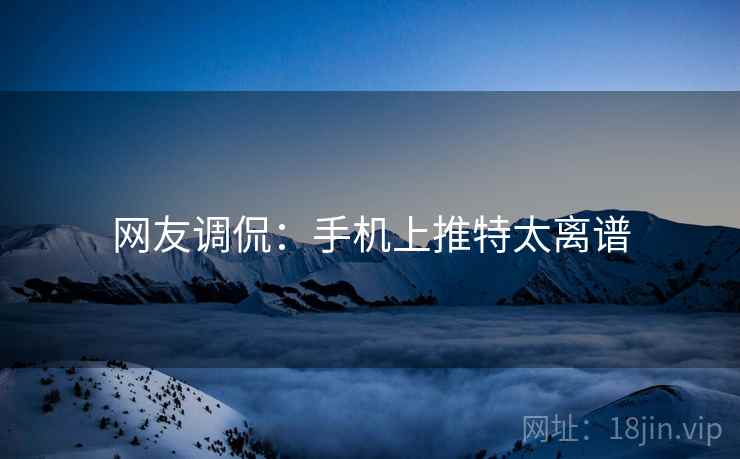 网友调侃：手机上推特太离谱